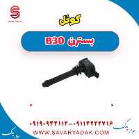 کوِئل بسترن B30