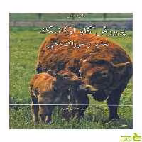 پرورش گاو ارگانیک رابرت بلر آییژ - سیب ترش - SibTorsh رابرت بلر