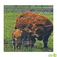پرورش گاو ارگانیک رابرت بلر آییژ - سیب ترش - SibTorsh رابرت بلر