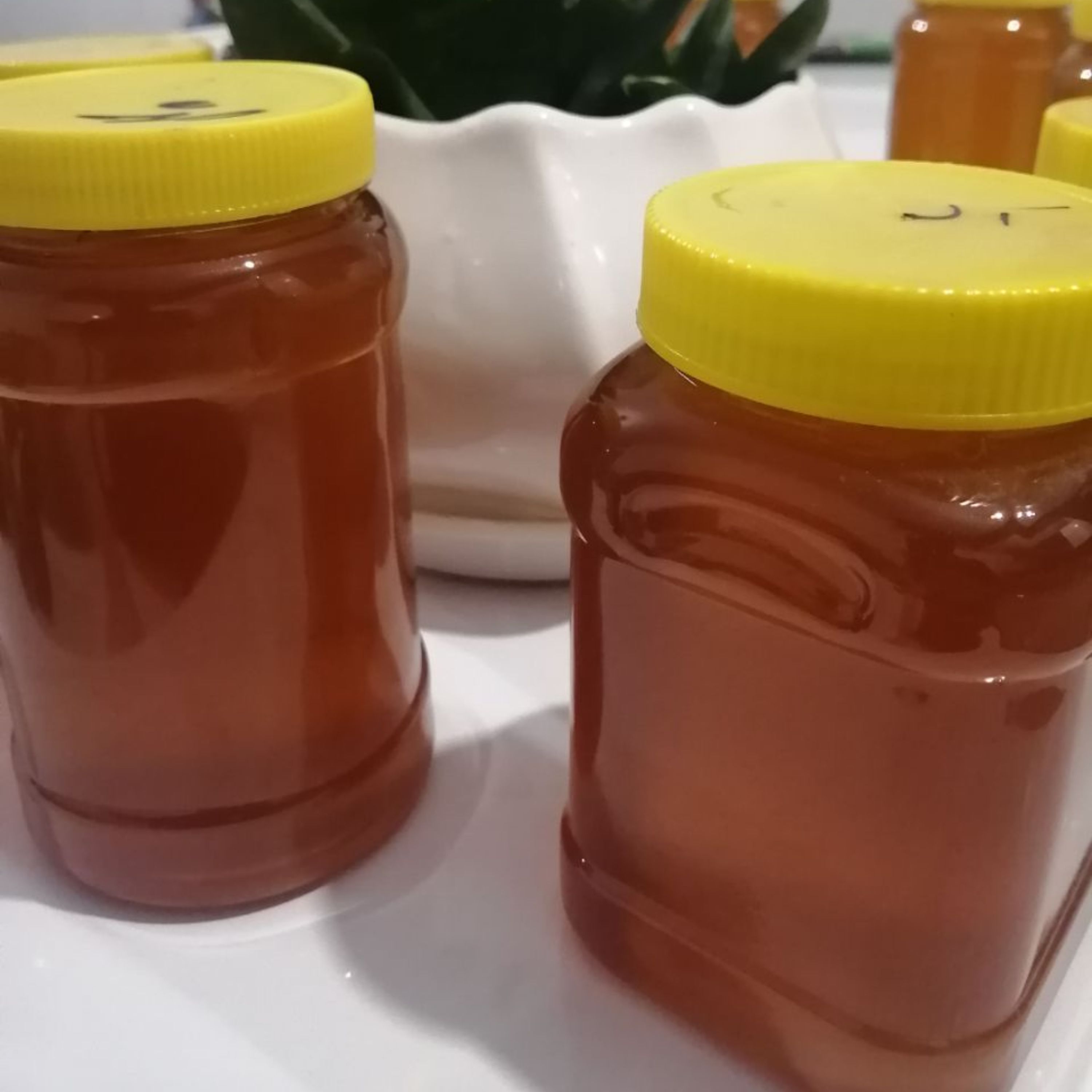 عسل چهل گیاه طبیعی 1 کیلویی (ارسال رایگان به سراسر ایران)