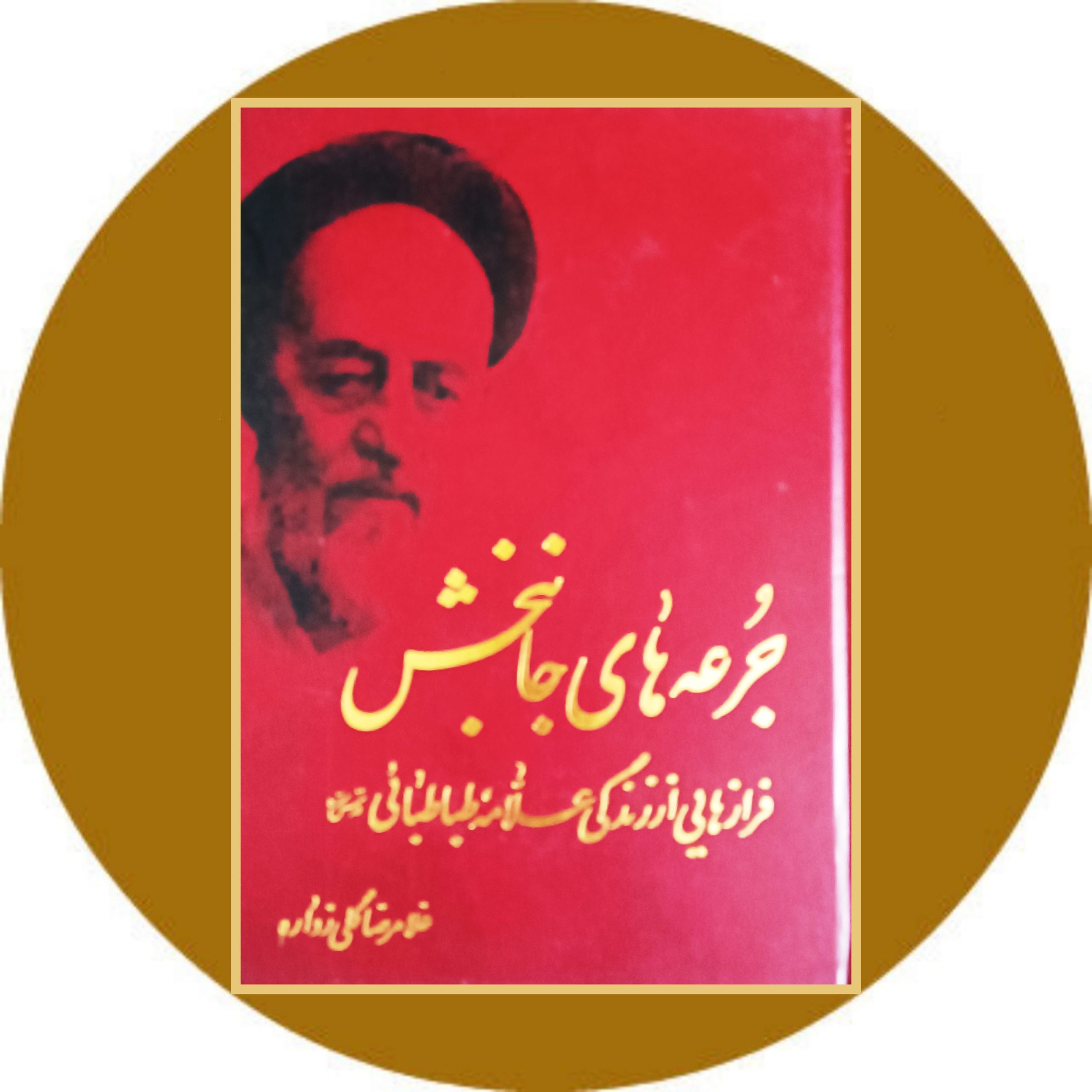 کتاب جرعه های جانبخش - خرید با تخفیف از کتاب دایره قهوه ای