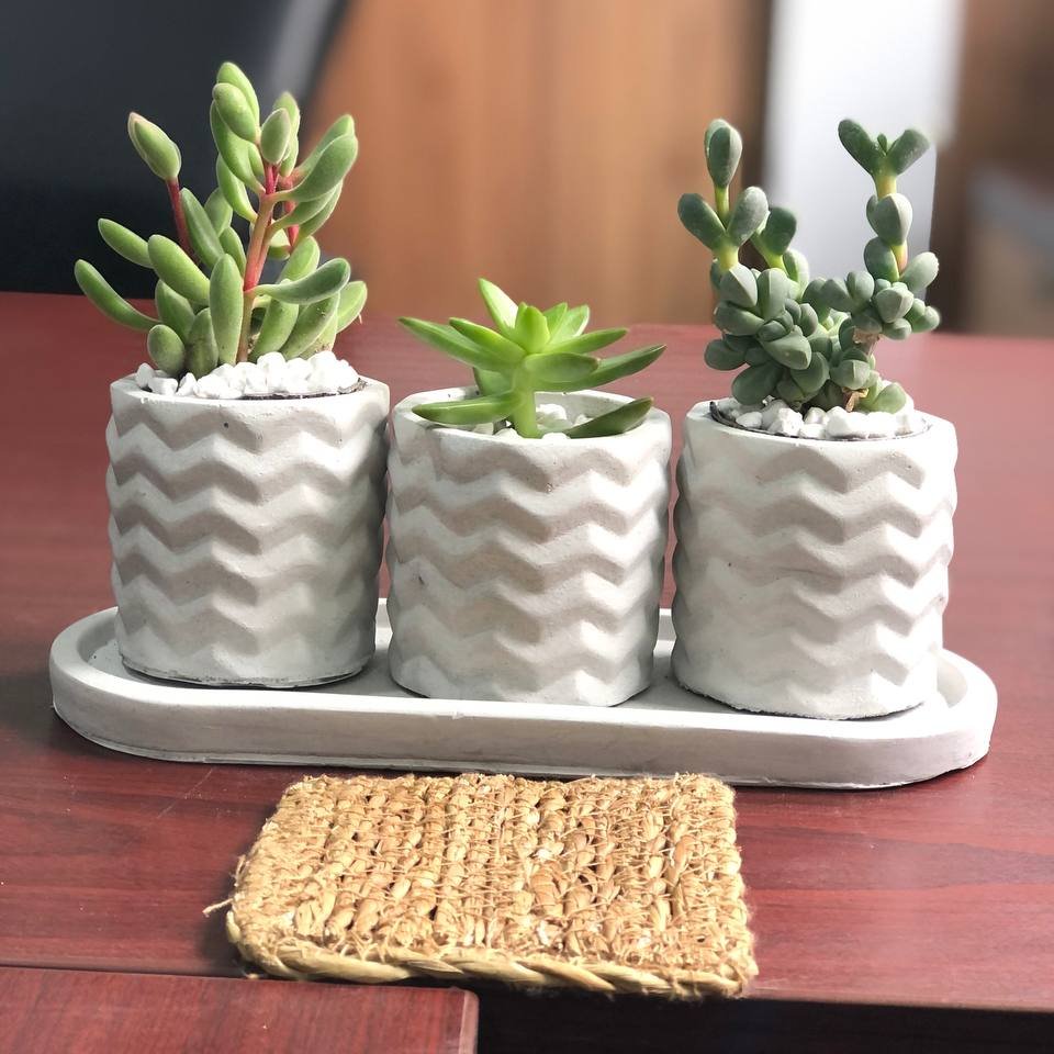 ست گلدان موجی ارتفاع 6.5 سانتیمتر