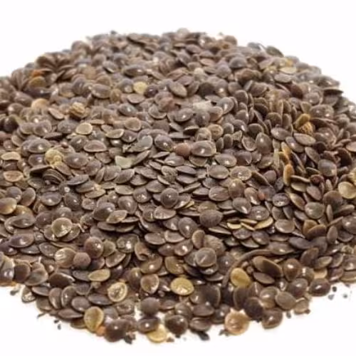 تخم گزنه (انجره ) 200 گرم  (آسم ، درد کلیه و پهلو ،جای زخم )