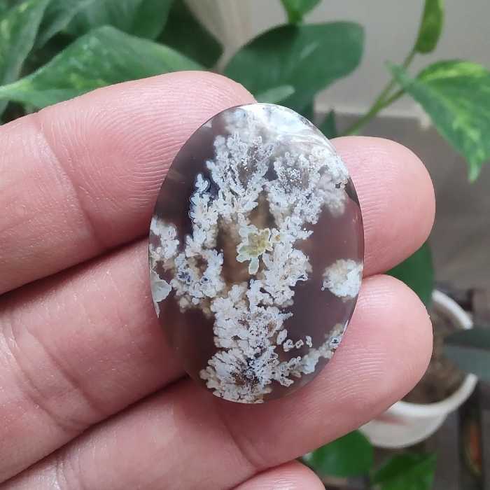 عقیق خرمایی شجر