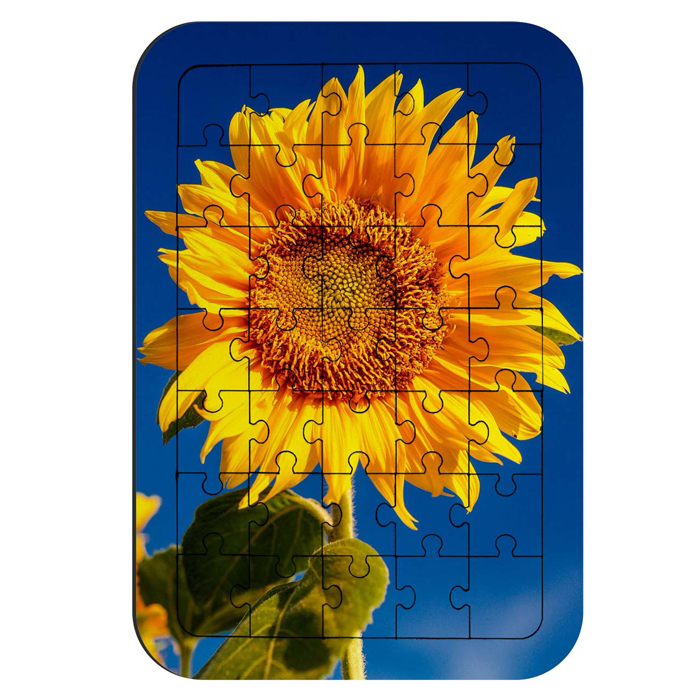  پازل 35 تکه طرح گل آفتابگردان مدل NI401