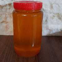 عسل کوهی (100کیلویی)