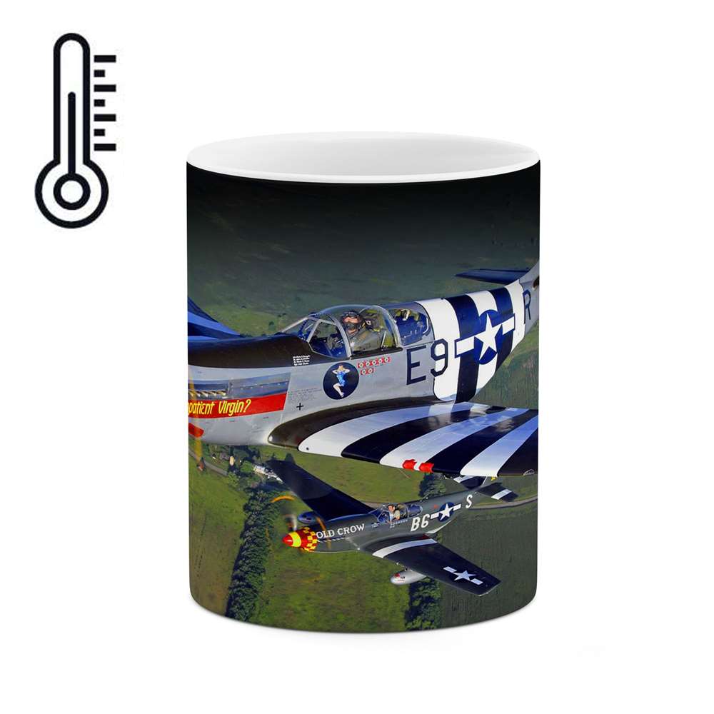 ماگ حرارتی طرح هواپیمای جنگنده مدل mgh10674