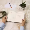 کتاب دشنه در دیس اثر احمد شاملو