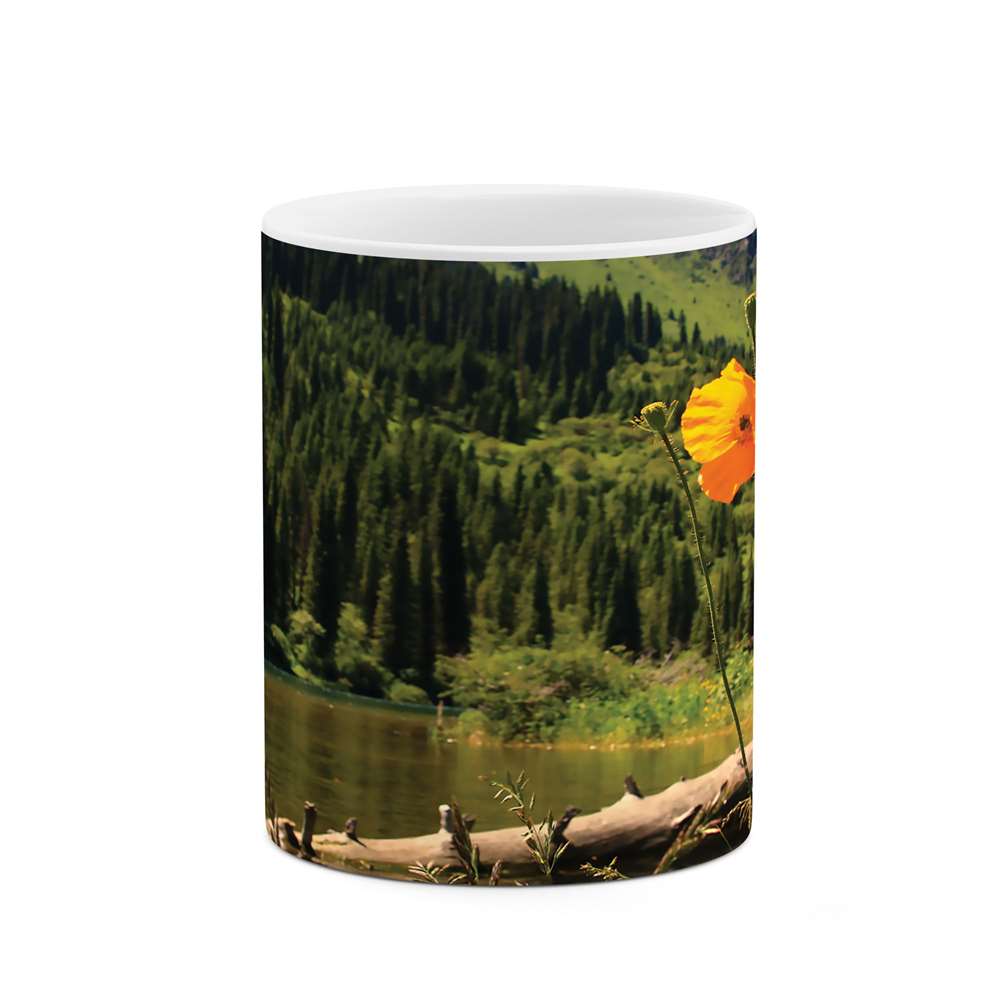 ماگ طرح طبیعت مدل mgs05901