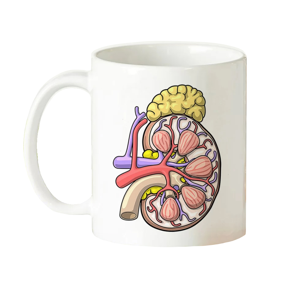 ماگ طرح آناتومی