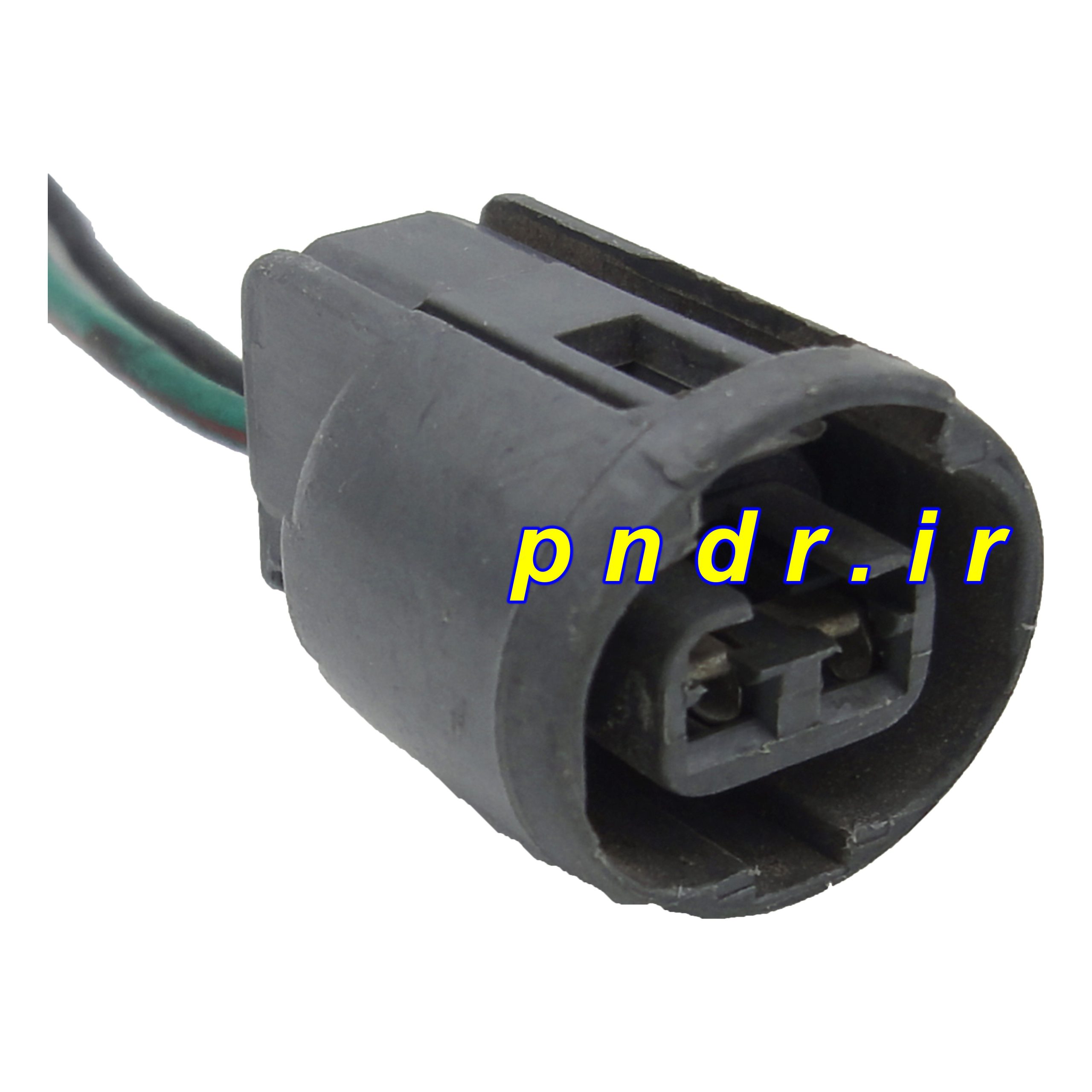 سوکت دو فیش