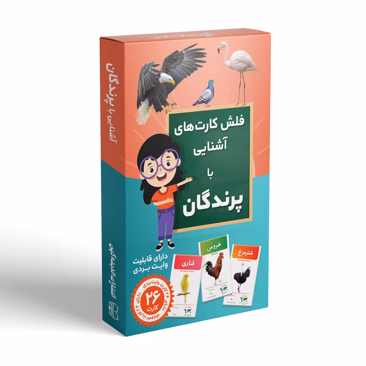 فلش کارت آشنایی با پرندگان انتشارات اندیشه کهن