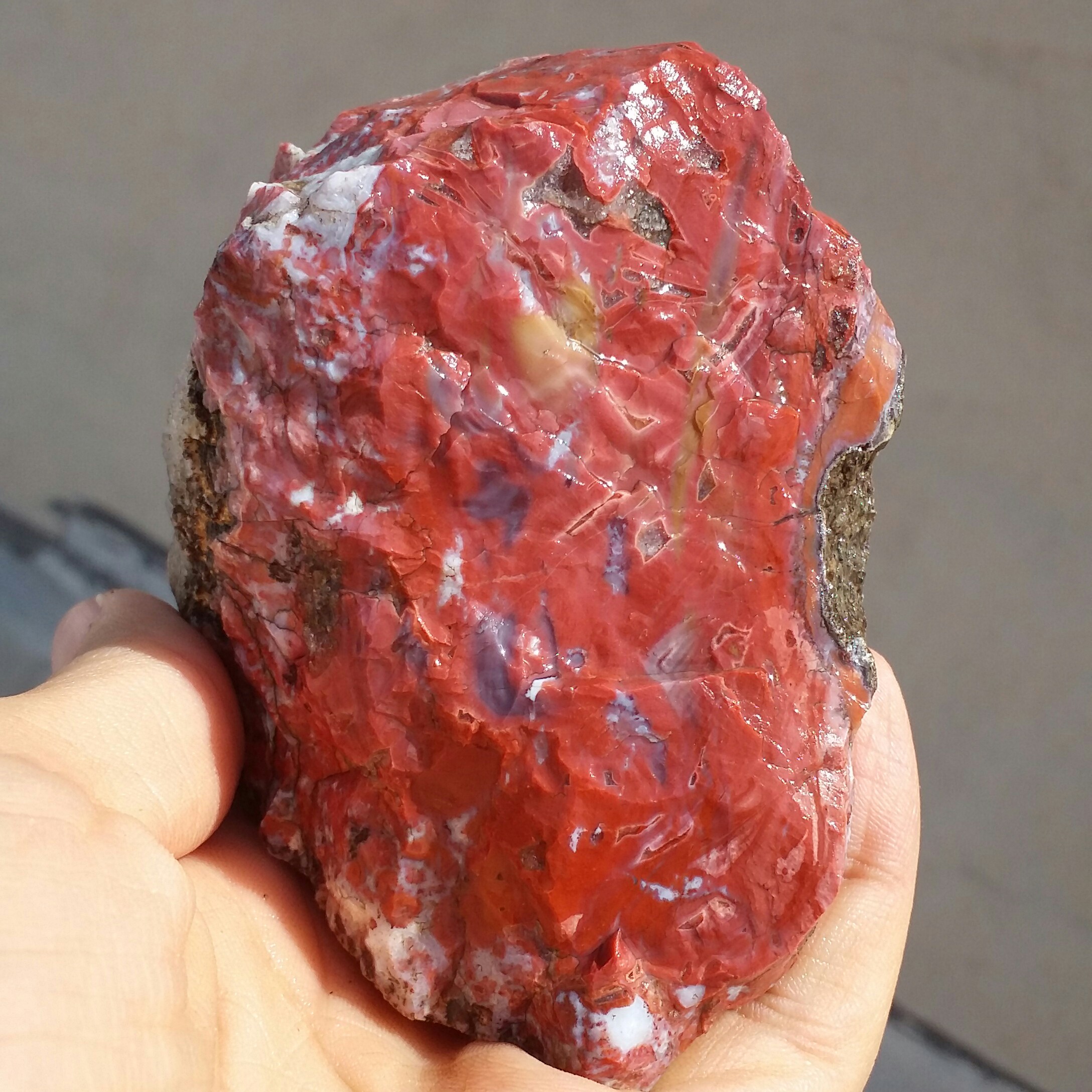 سنگ راف درشت جاسپر منظره سرخ 100 در 100 طبیعی خاص بی نظیر
کد 11232