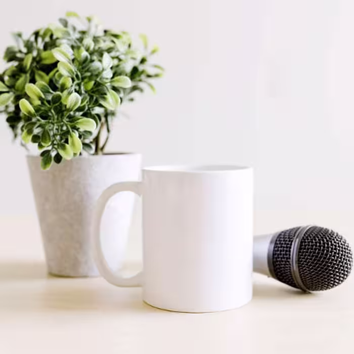 ماگ شرکت صنایع چینی تقدیس مدل استخوانی