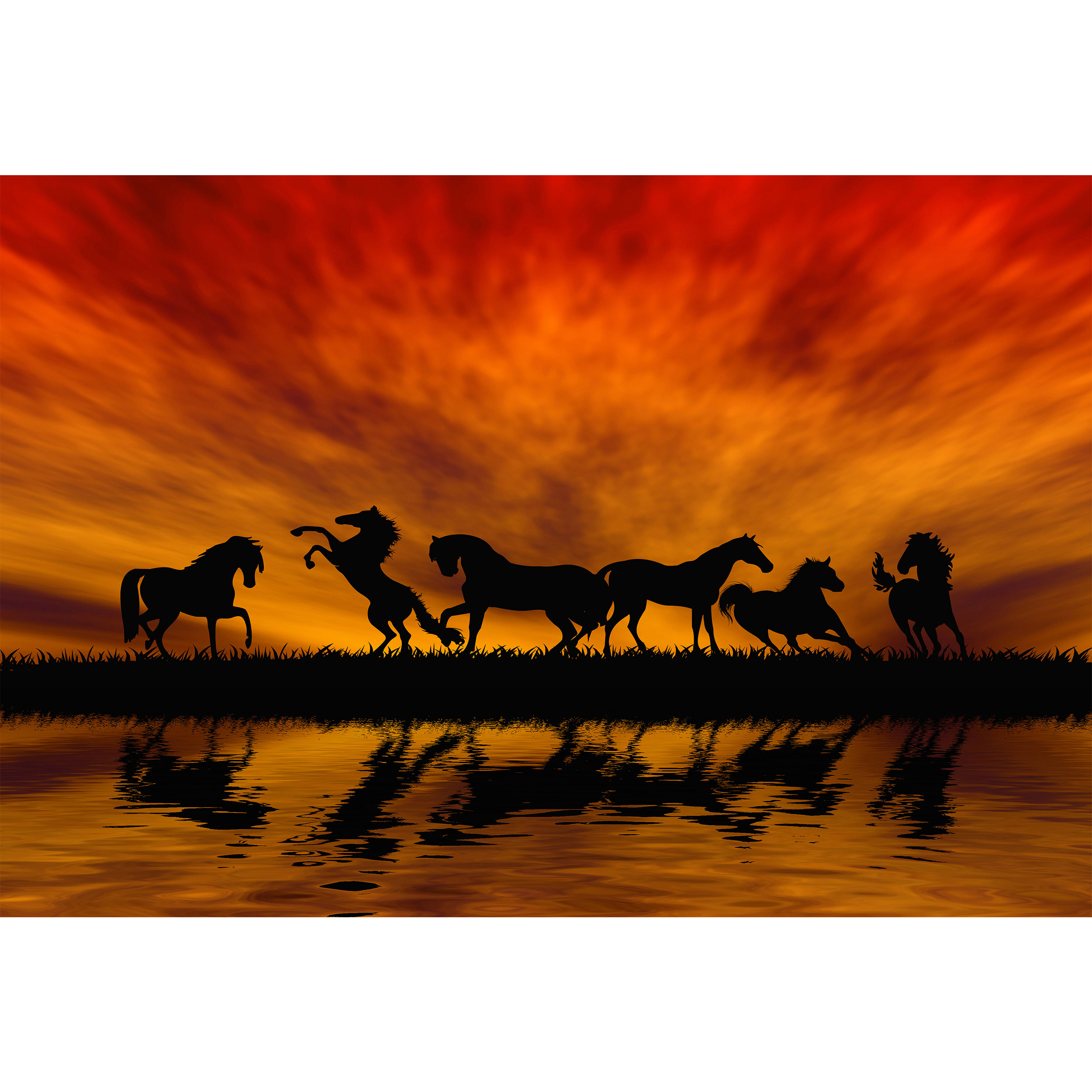 تابلو شاسی مدل اسب غروب آفتاب کد T5846