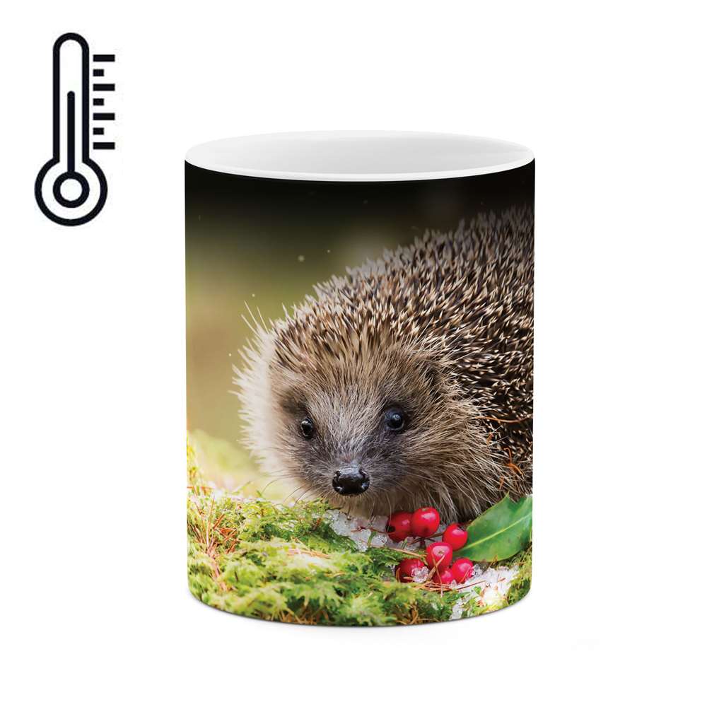 ماگ حرارتی طرح جوجه تیغی مدل mgph10108