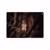 برچسب پوششی ماهوت مدل Owl مناسب برای تبلت اپل iPad 9.7 (GEN 5) 2017 A1822