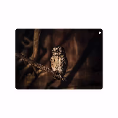 برچسب پوششی ماهوت مدل Owl مناسب برای تبلت اپل iPad 9.7 (GEN 5) 2017 A1822
