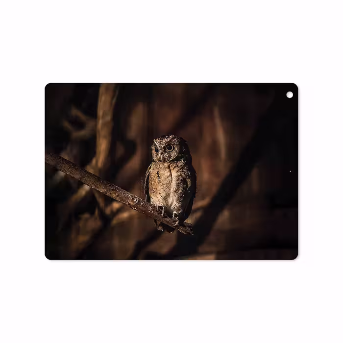 برچسب پوششی ماهوت مدل Owl مناسب برای تبلت اپل iPad 9.7 (GEN 5) 2017 A1822