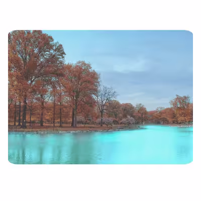 ماوس پد طرح طبیعت کد B407