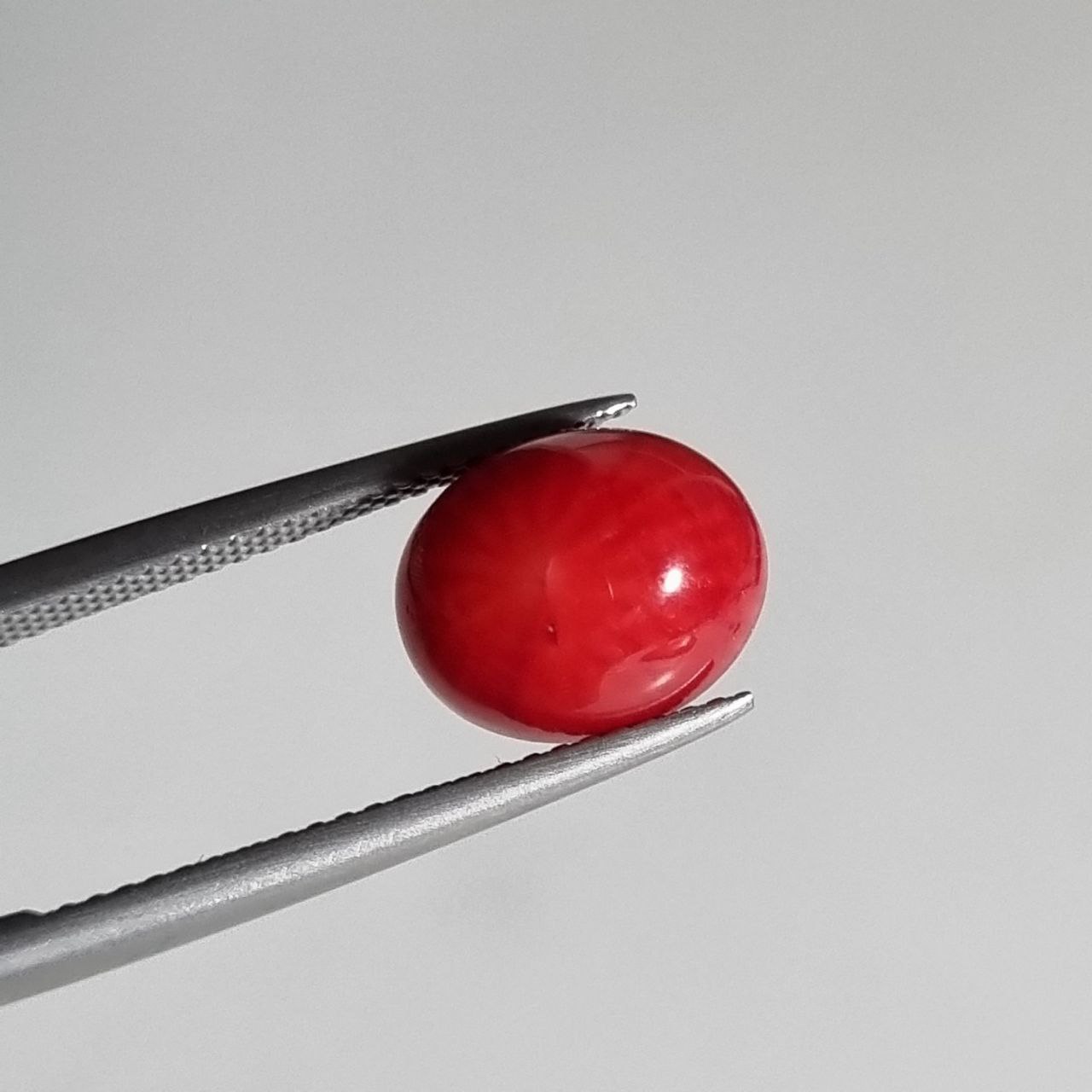 سنگ مرجان بهسازی شده قرمز بیضی 7928