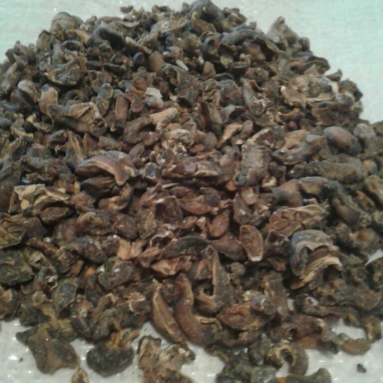 زالو خشک پاکستانی (مخصوص روغنگیری )