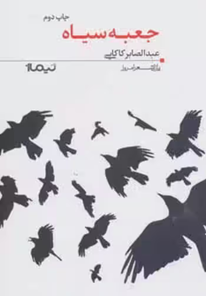 جعبه سیاه (پازل شعر امروز24) - ناشربوک | خرید آنلاین کتاب