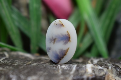 عقیق شجر برزیل