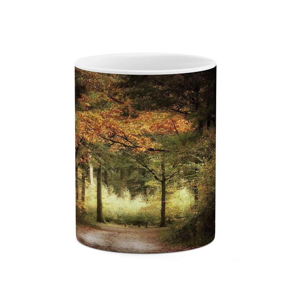 ماگ کاکتی طرح منظره مدل mgs15745