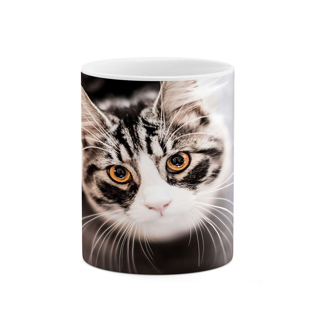 ماگ طرح گربه مدل mgp10116