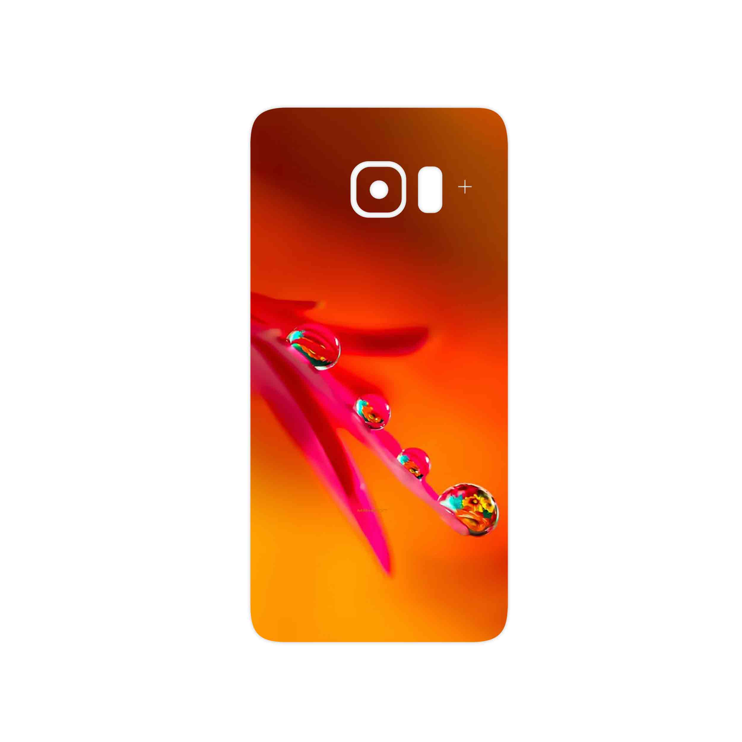 برچسب پوششی ماهوت مدل Plant dew مناسب برای گوشی موبایل سامسونگ Galaxy S6 Edge Plus