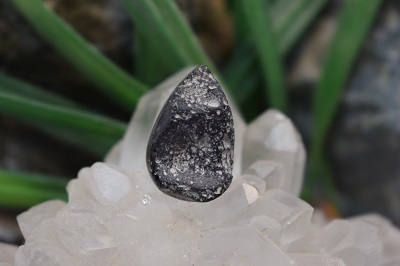 تکتیت طبیعی