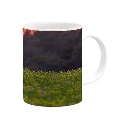 ماگ کاکتی طرح منظره مدل mgs16019