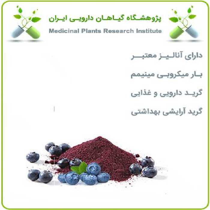 عصاره بلوبری خشک یا پودری
