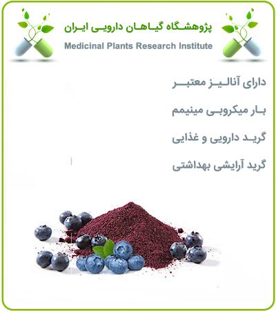 عصاره بلوبری خشک یا پودری