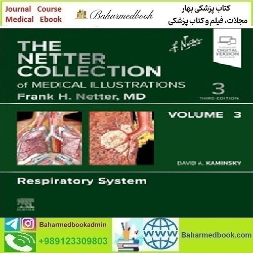 The Netter Collection of Medical Illustrations Respiratory System