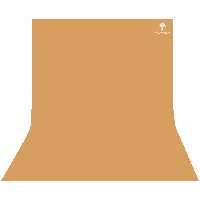 فون عکاسی کروماکی لند مدل NS کد 300-150