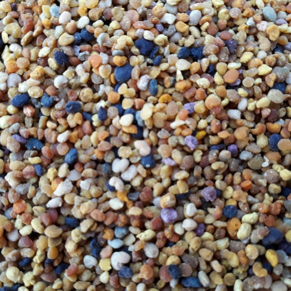 گرده گل ایرانی