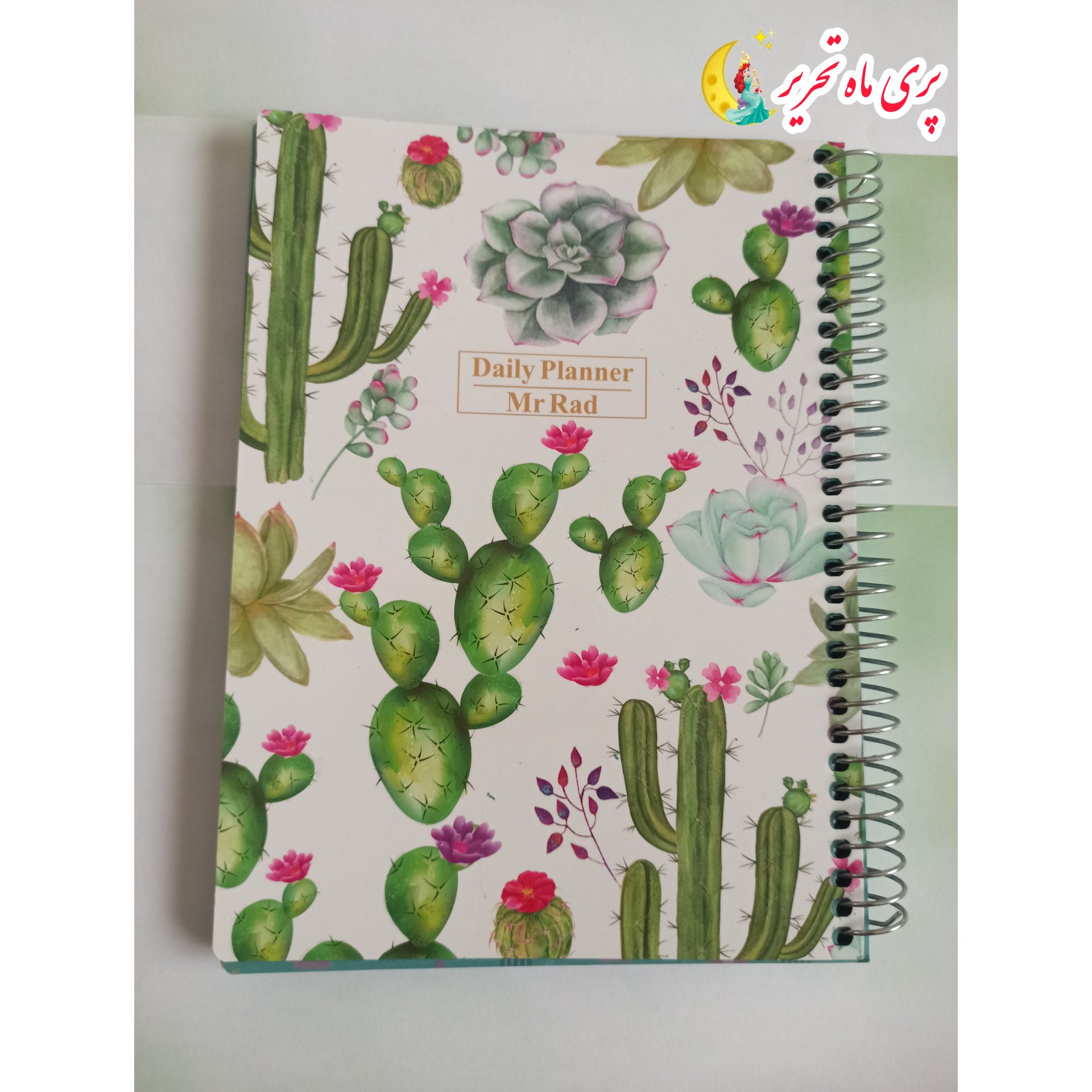 پلنر کاکتوس، سیمی، 75برگ، ابعاد 15*20،برند مستر راد(ارسال سریع+بسته بندی شیک +اشانتیون) 