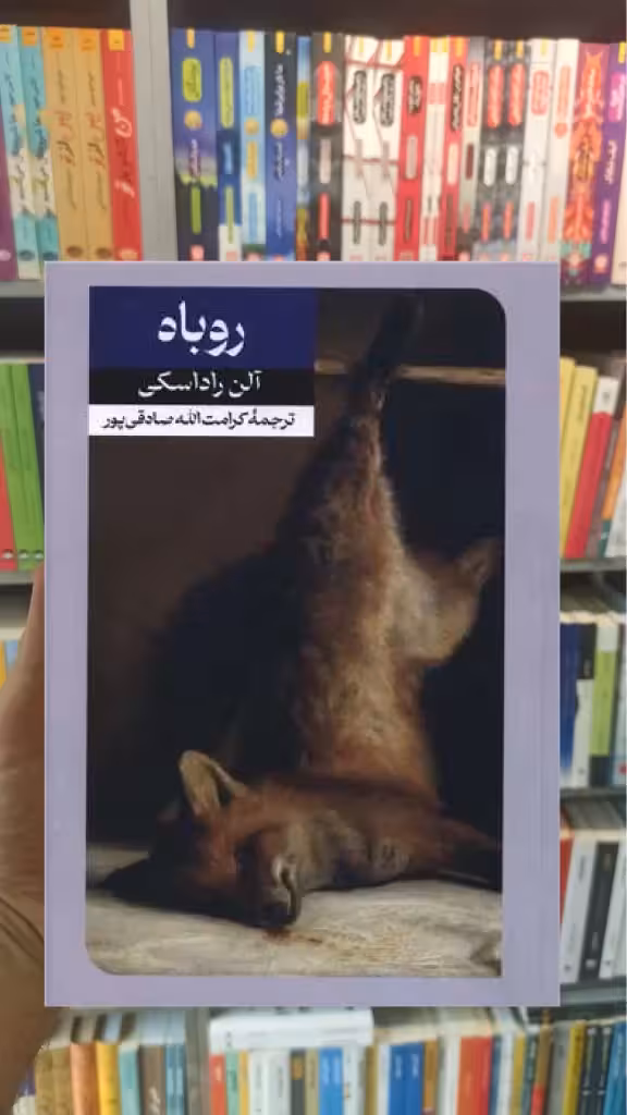 روباه آلن راداسکی امیرکبیر