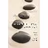 کتاب Mindfulness and the 12 Steps اثر Thérèse Jacobs-Stewart انتشارات Hazelden Publishing