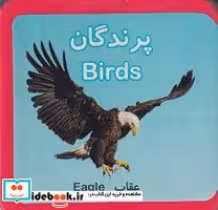 قیمت و خرید کتاب پرندگان نشر فرشتگان | ایده بوک