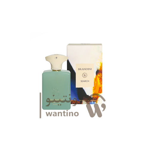 عطر ادکلن آمواج سرچ (Brandini Amouage Search) حجم 33 میل