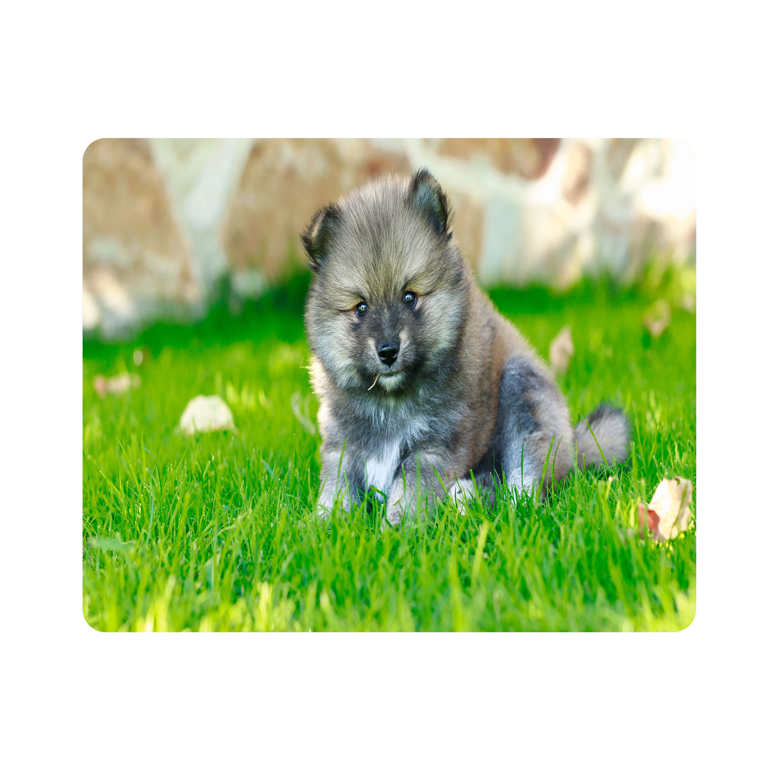 ماوس پد اطلس آبی طرح سگ پامرانین مدل T7950