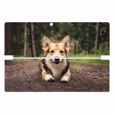 برچسب پوششی ماهوت مدل Dog-2 مناسب برای تبلت لنوو Miix 510 2016