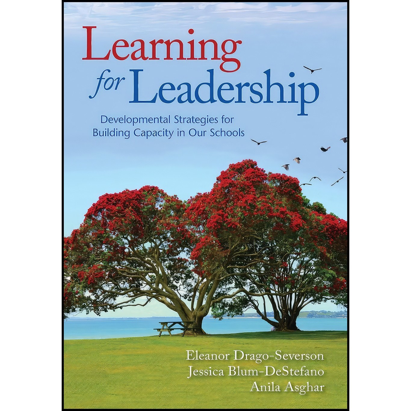 کتاب زبان اصلی Learning for Leadership اثر جمعی از نویسندگان