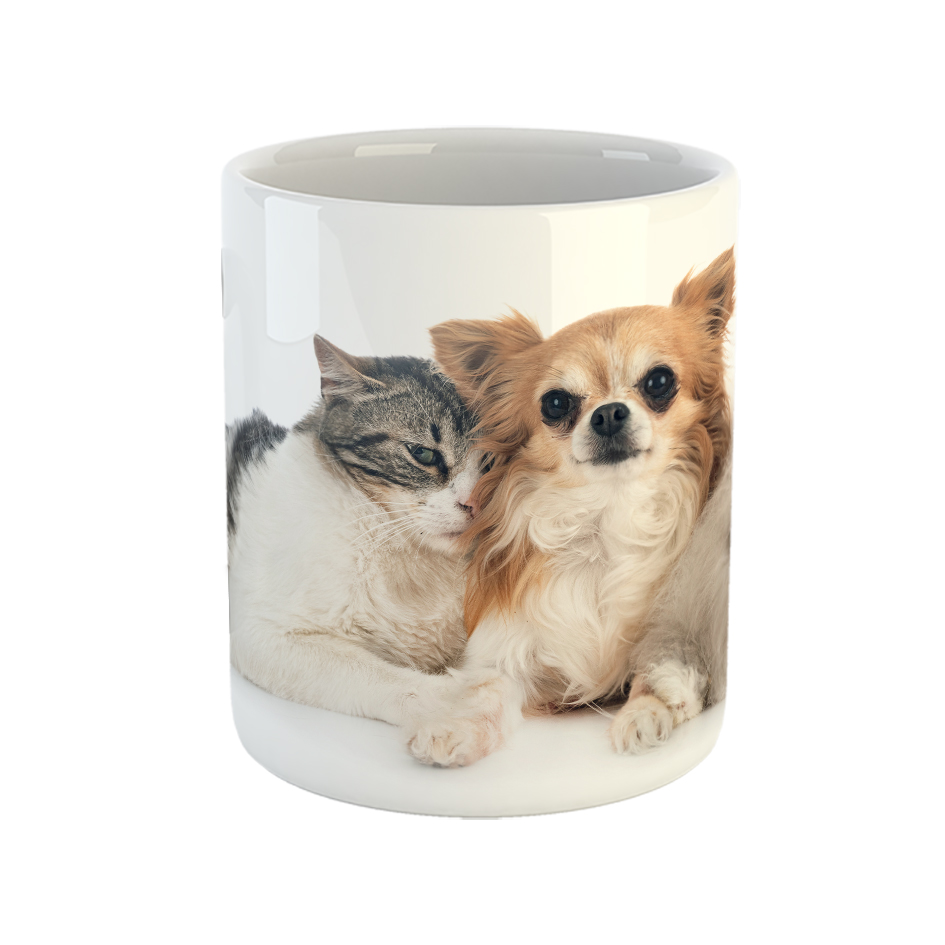 ماگ مدل چیواوا گربه و خرگوش