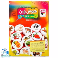 بازی فکری  هوش چین 1 تکه مدل زاغک
