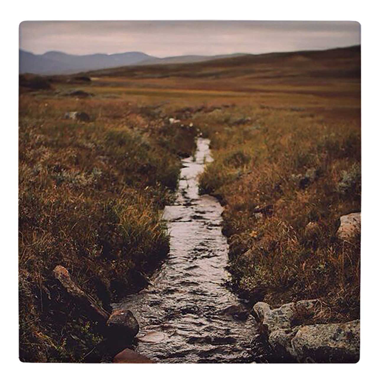 کاشی کارنیلا طرح جوی آب کد wk509