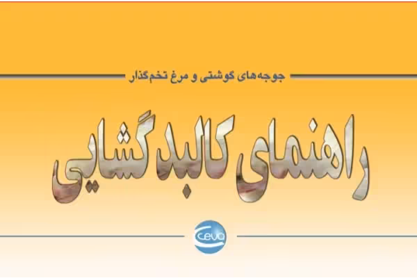 راهنمای کالبدگشایی جوجه گوشتی و مرغ تخم گذار - 38 صفحه - کتابخانه مجازی واتیکان